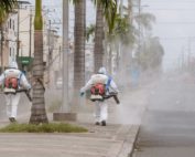 En Guayaquil construirá una fosa común para los fallecidos por coronavirus. Después de que se cierre la fosa, se construirá un mausoleo en honor a las víctimas.