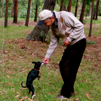 LuisGonzalez Svg+xml,%3Csvg%20xmlns%3D%27http%3A%2F%2Fwww.w3