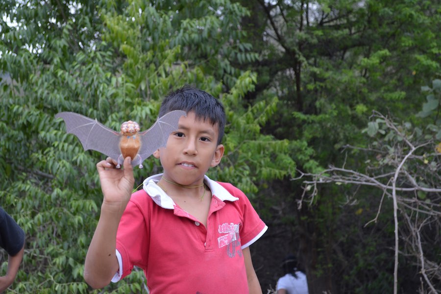 conservación de murciélagos en Ecuador