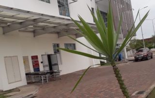 Hospital Guasmo Sur de Guayaquil