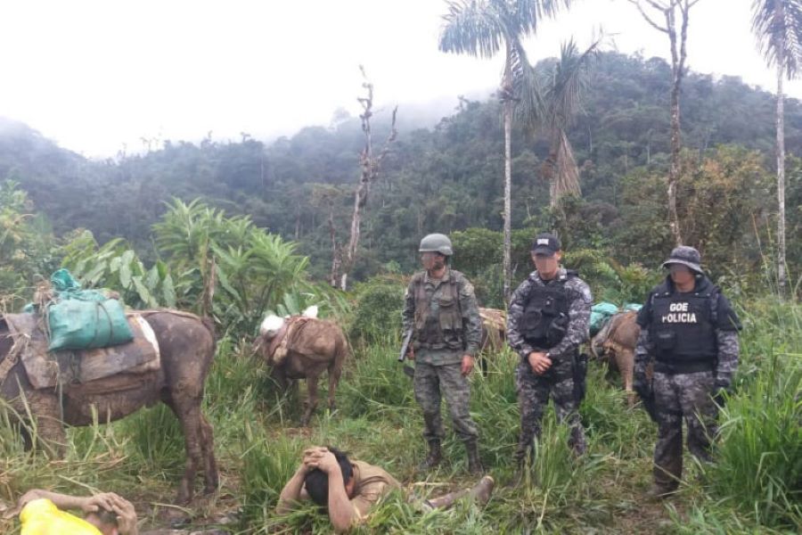 minería en la emergencia sanitaria