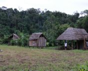 posibles contagios de covid-19 en indígenas