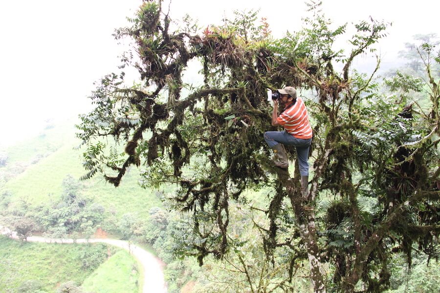 conservación de orquídeas en Ecuador