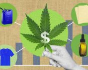 c&aacute;&ntilde;amo industrial en Ecuador