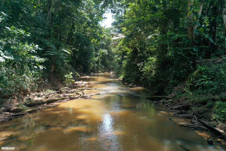 Río Amazonía colombiana