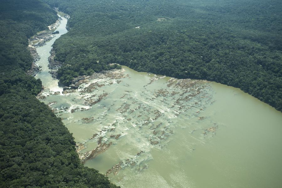 bosques tropicales