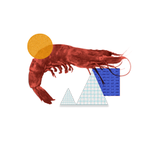 Precio camar&oacute;n