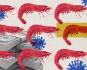 camarón ecuatoriano en China