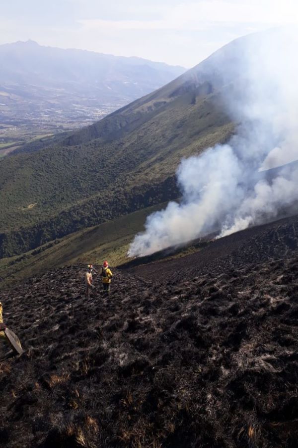 incendios en Imbabura y Pichincha 