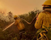 aumento de incendios 2020