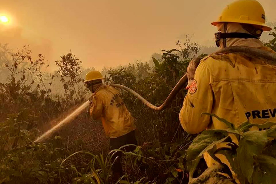 aumento de incendios 2020