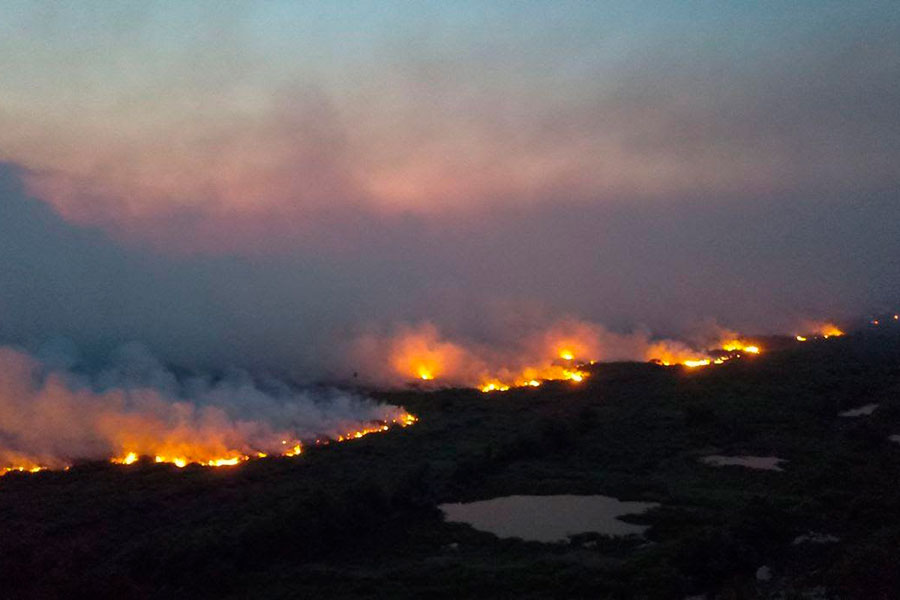 incendios y deforestación Brasil