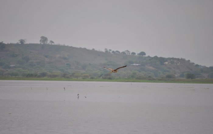 área de protección hídrica en Manabí