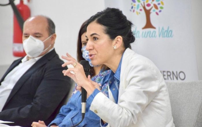 viaje de la vicepresidenta