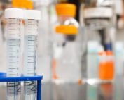 autorización para la vacuna