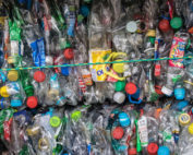 plásticos de un solo uso