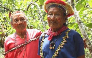 problemas ambientales en Ecuador en el 2020