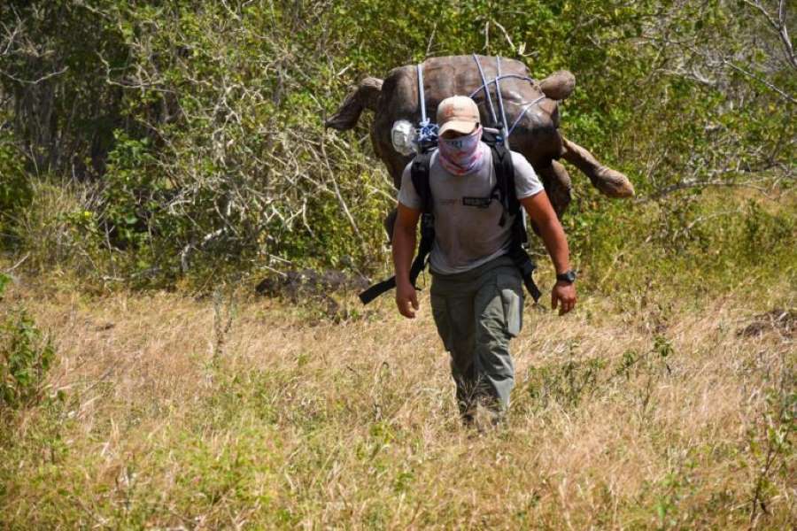 despidos de guardaparques