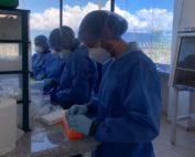 nueva variante de covid-19