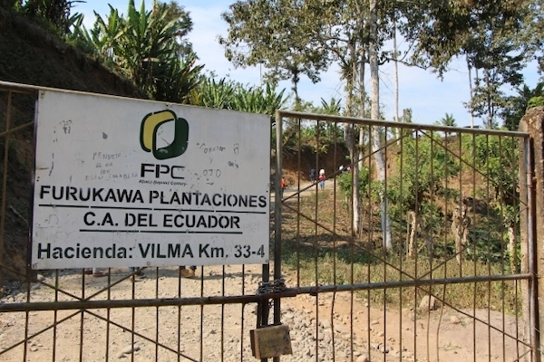 caso Furukawa