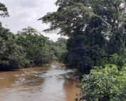 derrame en el río Shiripuno