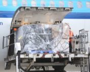 vacunas de Sinovac llegar&aacute;n a Ecuador