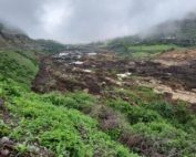 p&eacute;rdidas de animales