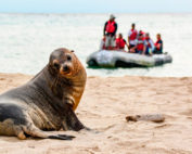 turistas en Galápagos por la pandemia