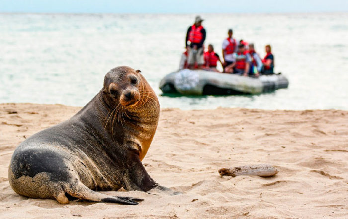 turistas en Galápagos por la pandemia