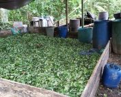 laboratorio clandestino de coca&iacute;na