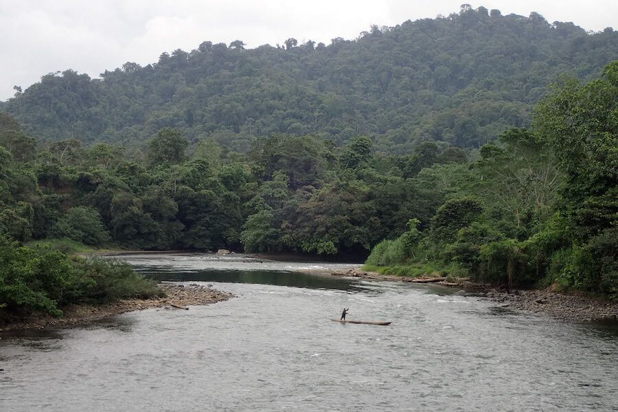 deforestación de los bosques en Ecuador