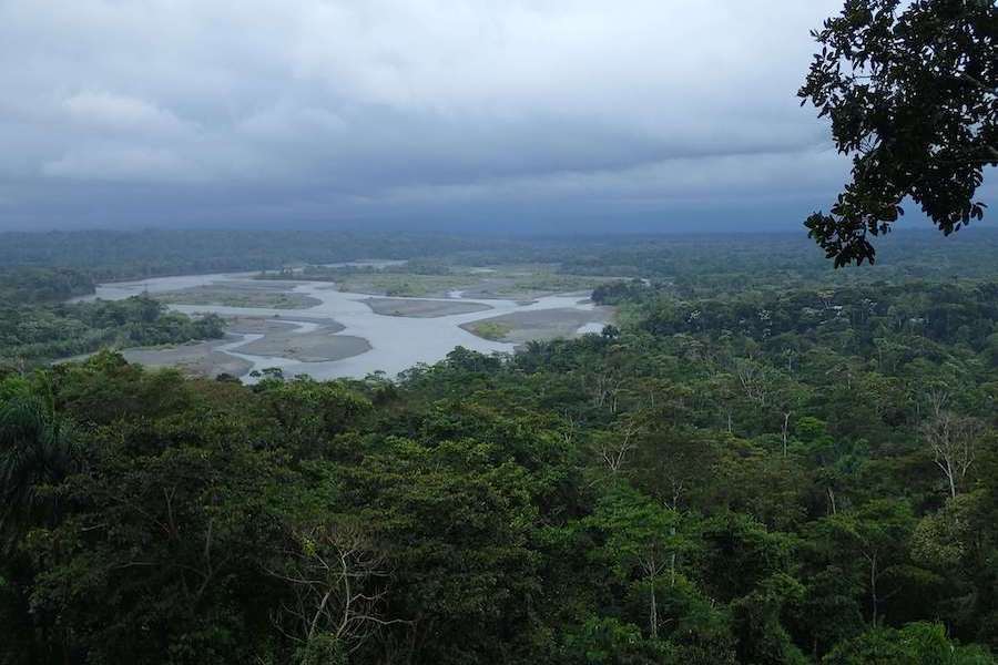 deforestación de bosques en Ecuador