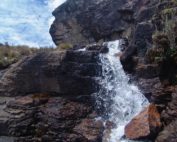 consulta popular por el agua