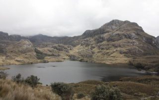 área de protección hídrica