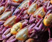 termina la veda del cangrejo