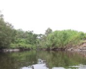 cierre de áreas protegidas