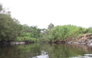 cierre de áreas protegidas