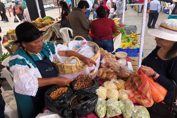 economía violeta