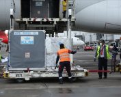 llegó el quinto lote de vacunas Pfizer