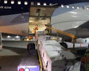 73 mil dosis de la vacuna de Pfizer