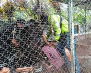 tenencia ilegal de animales silvestres