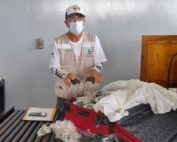 audiencia por tráfico de tortugas