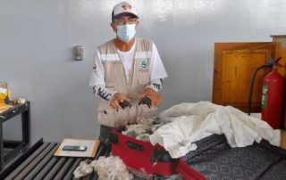 audiencia por tráfico de tortugas