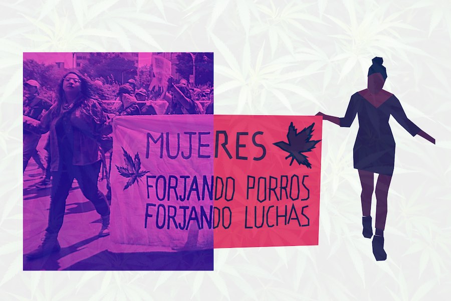 cannabis en México