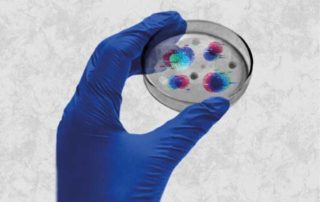 nueva variante covid-19 en Vietnam