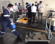 tráfico de tortugas gigantes de Galápagos