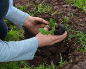 Día Mundial del Medioambiente