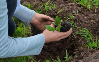 Día Mundial del Medioambiente