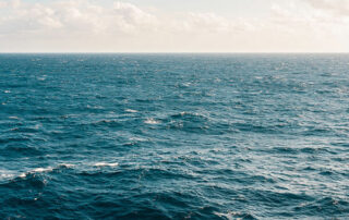 Día Mundial de los Océanos