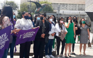 ley para regular el aborto por violación